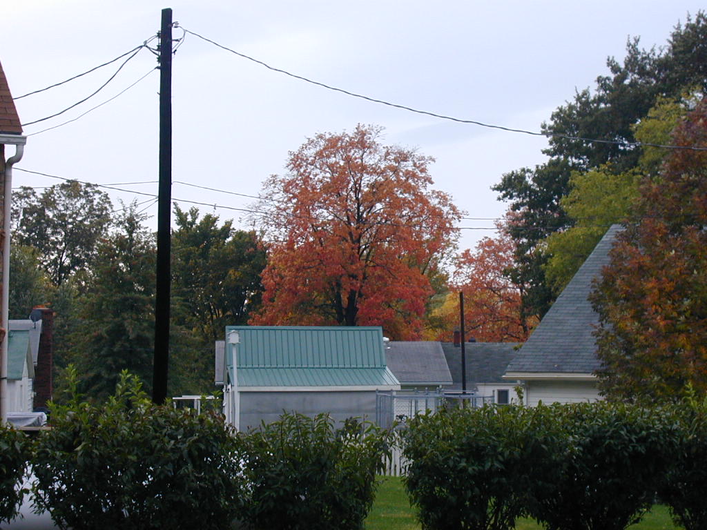 BigPicture of PA160004.JPG