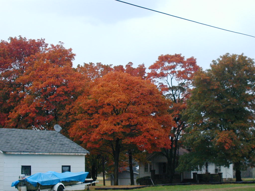 BigPicture of PA160016.JPG