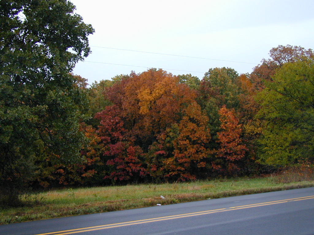 BigPicture of PA160024.JPG