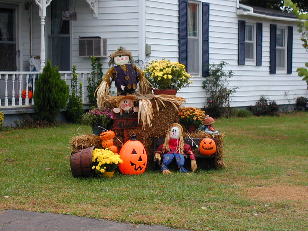 BigPicture of PA161025.JPG