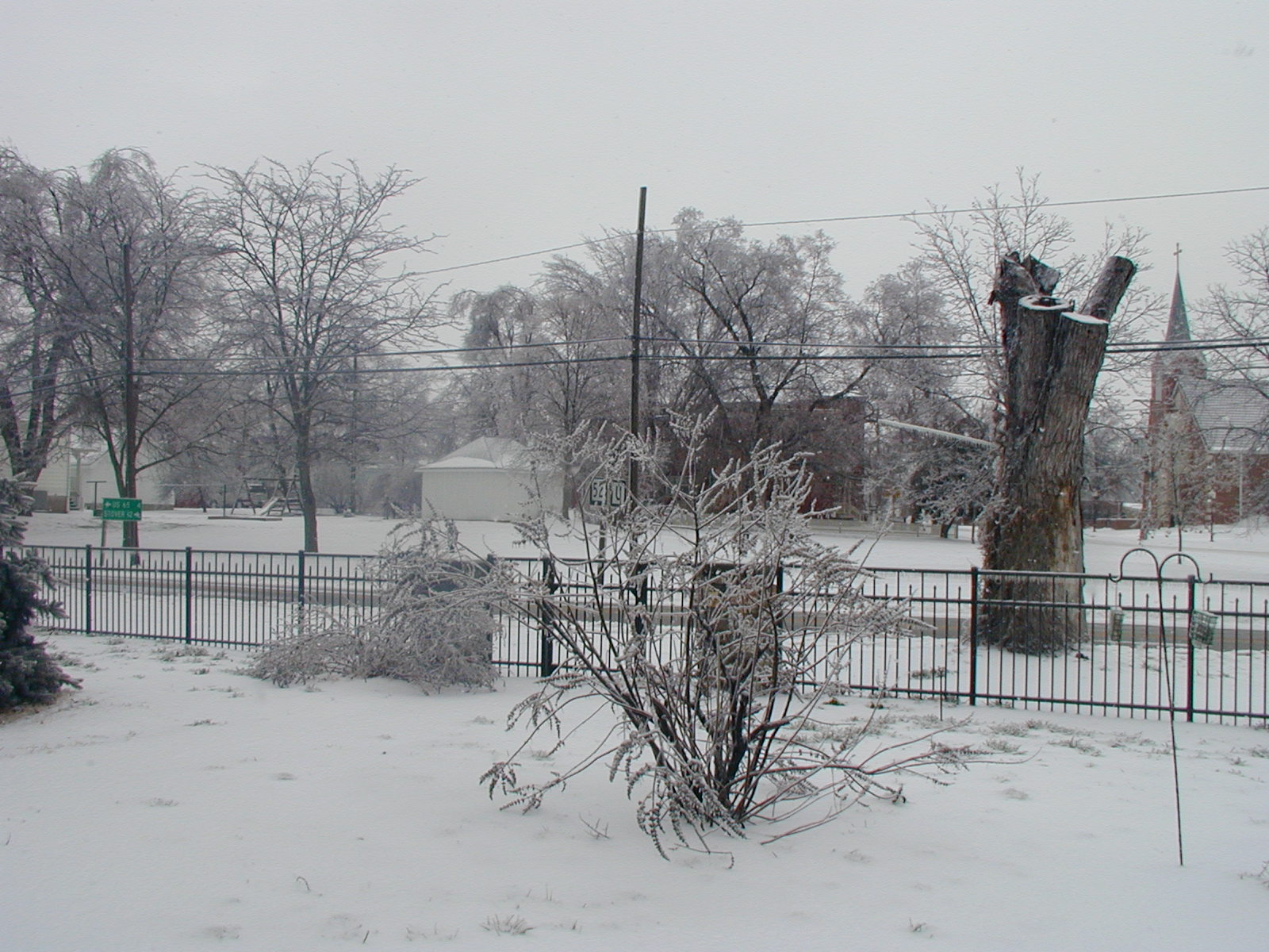 BigPicture of D1019012.JPG