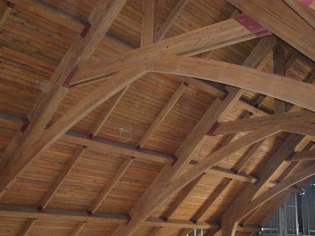 BigPicture of P9050005.JPG